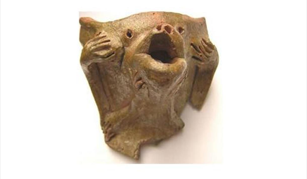 Origins Lunchtime Talk: A Century of Extraordinary