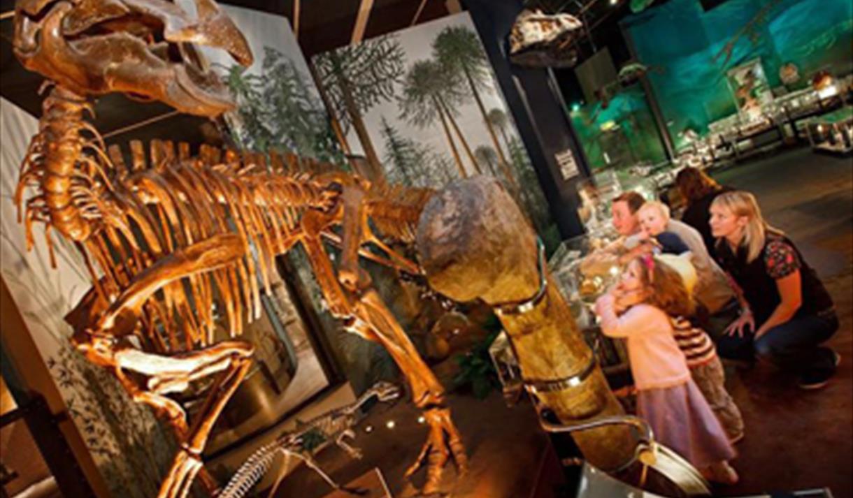 Museum Sleepover - Dino Nights!