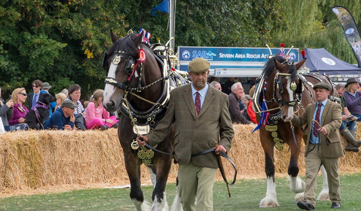 Frampton Country Fair