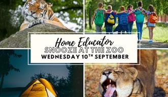 home ed