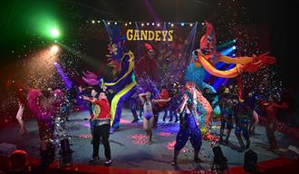 Gandeys performers
