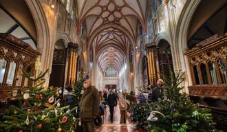 The Ottery St Mary Christmas Tree Festival