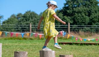A child stepping across logs