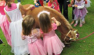 Princesses,kings,ponies,introduction to ponies,family friendly events