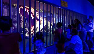 Families looking at a projection of a dinosaur