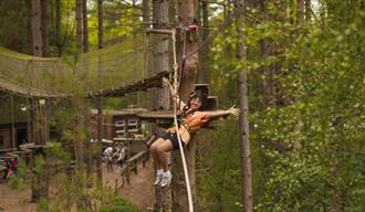 Summer fun at Go Ape Haldon