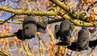 Toy bats hanging from a tree (©National Trust Images/Mike Selby)