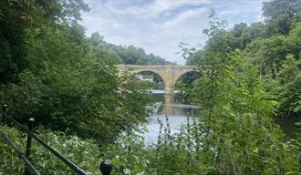 View of the riverbanks towards Prebends Bridge.