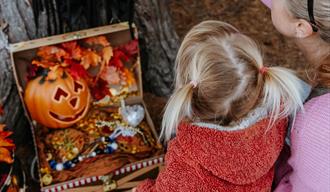 Blakemere's Halloween Pumpkin Trail