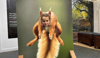 Girl with her face poking through a red squirrel cut out