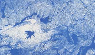 detail image of a risograph print by Eloise Lifton