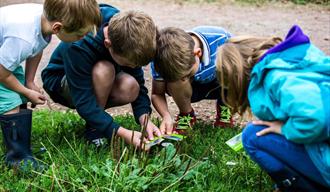 children crouching and looking for items on grass