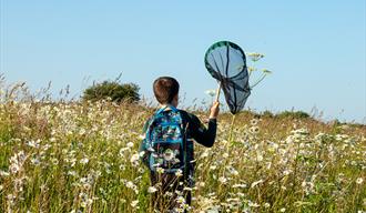 Child in a wildflower meadow, on a bug hunt