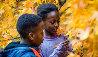 Autumn family trail at Westonbirt Arboretum