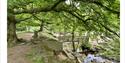 © Martina Tenzer, Walk 2 - Longshaw Estate: bridge over Burbage Brook.