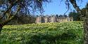 Guided House Tour Stokesay Court