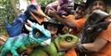 Can you guess which Baby Dinos will be joining us ?!