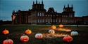 Halloween at Blenheim Palace, Blenheim Palace, Light Trail; Illuminated trail