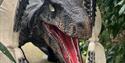 Raptor in Megalodon mouth