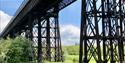 Bennerley Viaduct Opening Party



