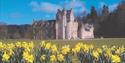 Ballindalloch Trust