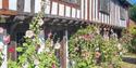 St Mary's House and Gardens