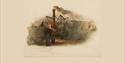 Painting of Old Locomotive Engine Wylam Coll from the Hatton Gallery, Newcastle University