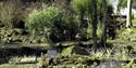 The woodland garden at Copped Hall Epping.