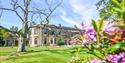 Beamish Hall Country House Hotel exterior, with purple spring flowers emerging in the foreground.