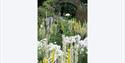 white flowers at broughton castle