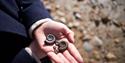 Fossil Collecting - ammonites in the palm