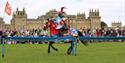 Blenheim Palace Jousting