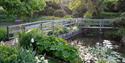 bridge near the mill pond
