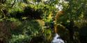 culford stream