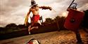 Gladiator Fighting