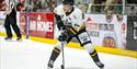 The Nottingham Panthers | Visit Nottinghamshire
