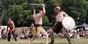Gladiator Fighting