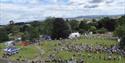 Ludlow Dog Day