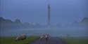Blenheim Palace Lamb Buggy Tours