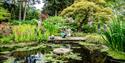 people overlooking the pond