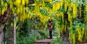 visitor examining the garden