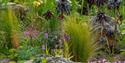paved garden