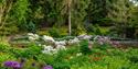 pinetum