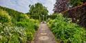 the white garden