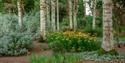 top garden