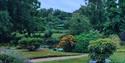 view of low garden
