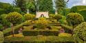 Yew Garden
