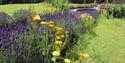 Abercamlais House flowers