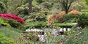 High Beeches Woodland and Water Garden