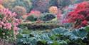 High Beeches Woodland and Water Garden